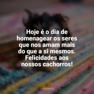 Hoje é o dia de homenagear os seres que nos amam mais do que a si mesmos. Felicidades aos nossos cachorros! Dia do Cachorro