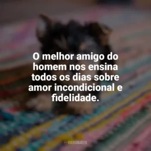 O melhor amigo do homem nos ensina todos os dias sobre amor incondicional e fidelidade. Dia do Cachorro