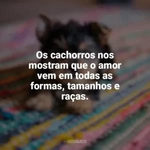 Os cachorros nos mostram que o amor vem em todas as formas, tamanhos e raças. Dia do Cachorro