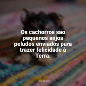 Os cachorros são pequenos anjos peludos enviados para trazer felicidade à Terra. Dia do Cachorro