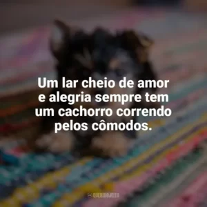 Um lar cheio de amor e alegria sempre tem um cachorro correndo pelos cômodos. Dia do Cachorro