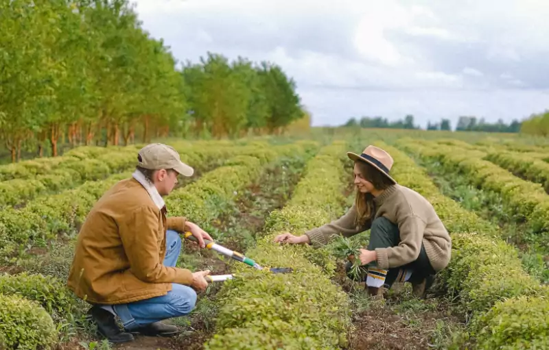 Frases para o Dia do Engenheiro Agrônomo