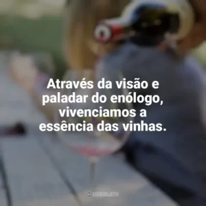 Através da visão e paladar do enólogo, vivenciamos a essência das vinhas. Dia do Enólogo