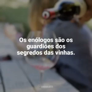 Os enólogos são os guardiões dos segredos das vinhas. Dia do Enólogo