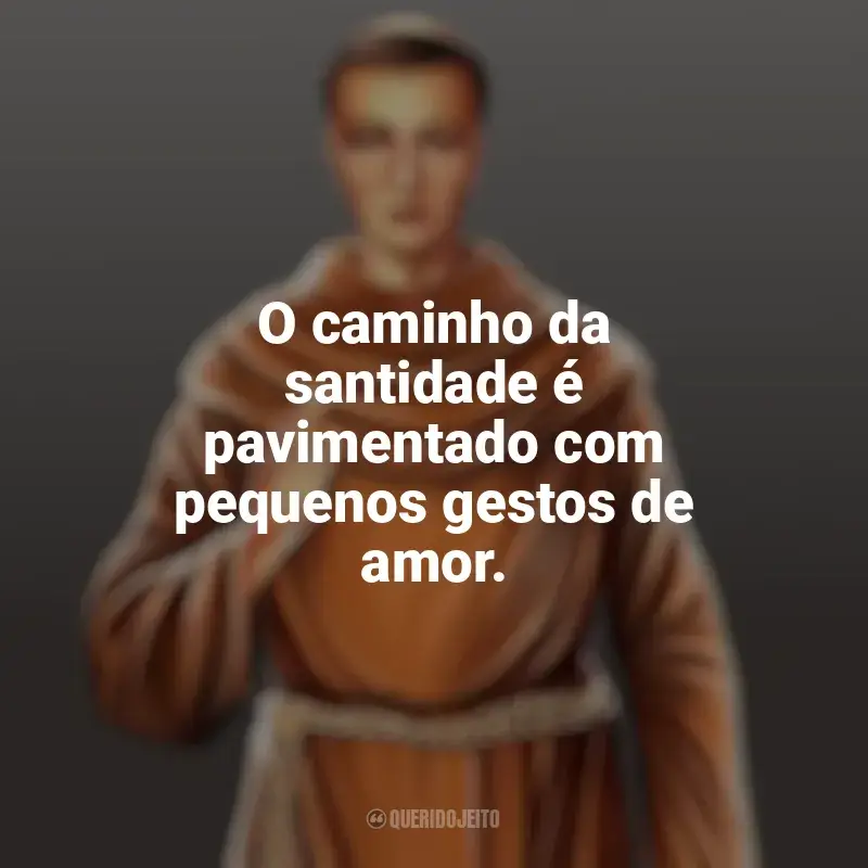 Melhores frases de Frei Galvão: O caminho da santidade é pavimentado com pequenos gestos de amor.