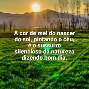 A cor de mel do nascer do sol, pintando o céu, é o sussurro silencioso da natureza dizendo bom dia. Nascer do Sol