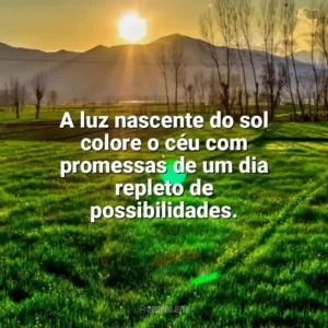 A luz nascente do sol colore o céu com promessas de um dia repleto de possibilidades. Nascer do Sol