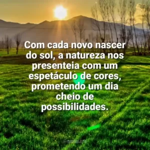 Com cada novo nascer do sol, a natureza nos presenteia com um espetáculo de cores, prometendo um dia cheio de possibilidades. Nascer do Sol