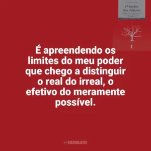 É apreendendo os limites do meu poder que chego a distinguir o real do irreal, o efetivo do meramente possível. O Jardim das Aflições (Livro)