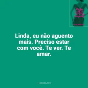 Linda, eu não aguento mais. Preciso estar com você. Te ver. Te amar. Os Sete Maridos de Evelyn Hugo (Livro)
