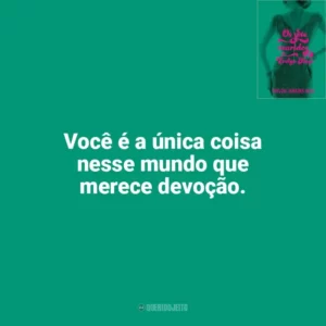 Você é a única coisa nesse mundo que merece devoção. Os Sete Maridos de Evelyn Hugo (Livro)