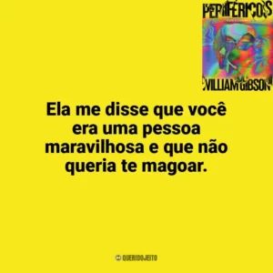 Ela me disse que você era uma pessoa maravilhosa e que não queria te magoar. Perifericos (Livro)