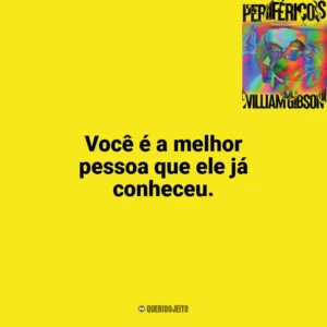 Você é a melhor pessoa que ele já conheceu. Perifericos (Livro)