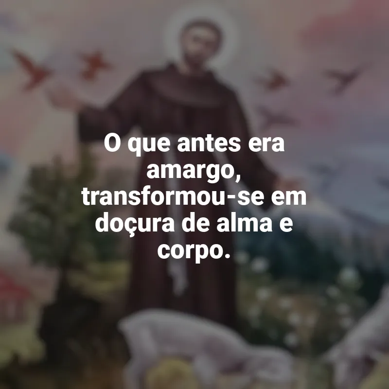 Frases de São Francisco de Assis para status: O que antes era amargo, transformou-se em doçura de alma e corpo.