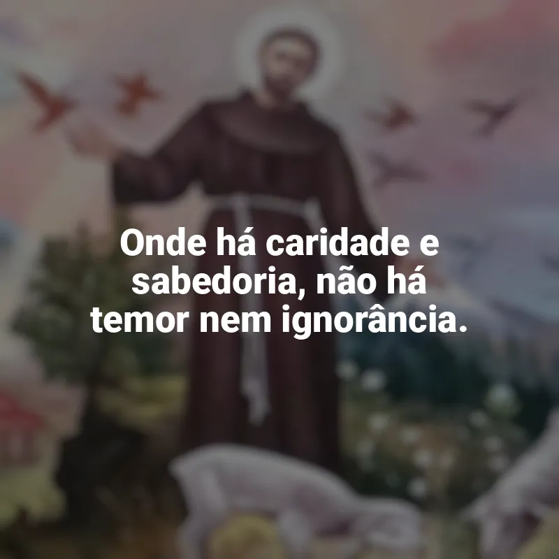 Mensagens São Francisco de Assis frases: Onde há caridade e sabedoria, não há temor nem ignorância.