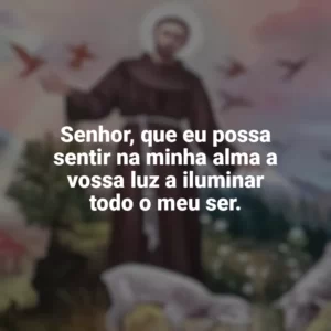 Senhor, que eu possa sentir na minha alma a vossa luz a iluminar todo o meu ser. São Francisco de Assis
