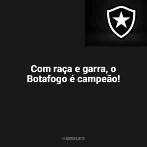 Com raça e garra, o Botafogo é campeão! Botafogo