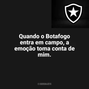 Quando o Botafogo entra em campo, a emoção toma conta de mim. Botafogo