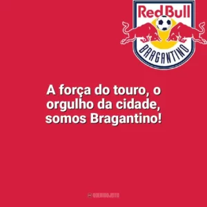 A força do touro, o orgulho da cidade, somos Bragantino! Bragantino