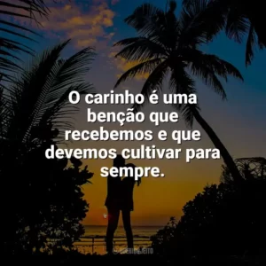 O carinho é uma benção que recebemos e que devemos cultivar para sempre. Carinho