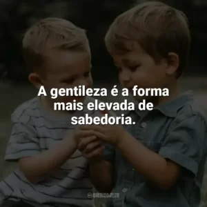 A gentileza é a forma mais elevada de sabedoria. Dia da Gentileza