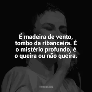 É madeira de vento, tombo da ribanceira. É o mistério profundo, é o queira ou não queira. Elis Regina
