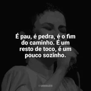 É pau, é pedra, é o fim do caminho. É um resto de toco, é um pouco sozinho. Elis Regina