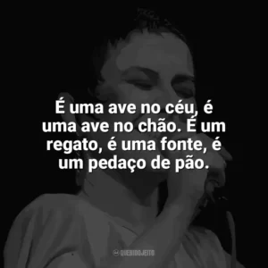 É uma ave no céu, é uma ave no chão. É um regato, é uma fonte, é um pedaço de pão. Elis Regina