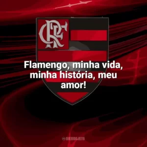 Flamengo, minha vida, minha história, meu amor! Flamengo