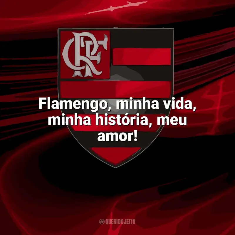 Frases do Flamengo campeão: Flamengo, minha vida, minha história, meu amor!