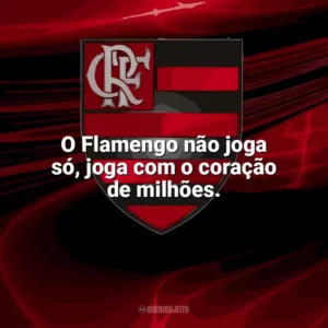 O Flamengo não joga só, joga com o coração de milhões. Flamengo