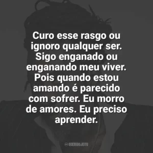 Curo esse rasgo ou ignoro qualquer ser. Sigo enganado ou enganando meu viver. Pois quando estou amando é parecido com sofrer. Eu morro de amores. Eu preciso aprender. Luiz Melodia