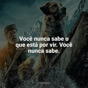 Você nunca sabe o que está por vir. Você nunca sabe. O Chamado Da Floresta (Filme)