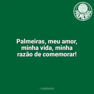 Palmeiras, meu amor, minha vida, minha razão de comemorar! Palmeiras