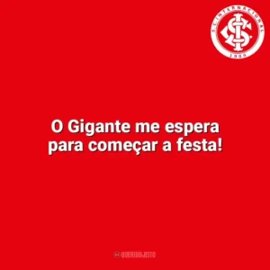 O Gigante me espera para começar a festa! Sport Club Internacional