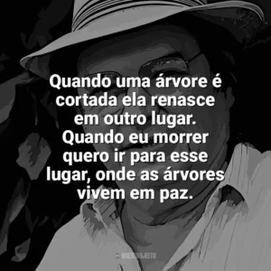 Quando uma árvore é cortada ela renasce em outro lugar. Quando eu morrer quero ir para esse lugar, onde as árvores vivem em paz. Tom Jobim
