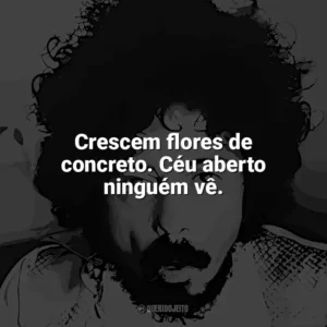 Crescem flores de concreto. Céu aberto ninguém vê. Tom Zé