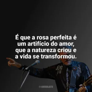 É que a rosa perfeita é um artifício do amor, que a natureza criou e a vida se transformou. Zé Ramalho