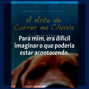 Para mim, era difícil imaginar o que poderia estar acontecendo. A Arte de Correr na Chuva (Livro)