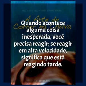 Quando acontece alguma coisa inesperada, você precisa reagir; se reagir em alta velocidade, significa que está reagindo tarde. A Arte de Correr na Chuva (Livro)