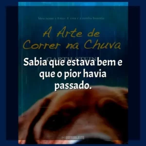 Sabia que estava bem e que o pior havia passado. A Arte de Correr na Chuva (Livro)