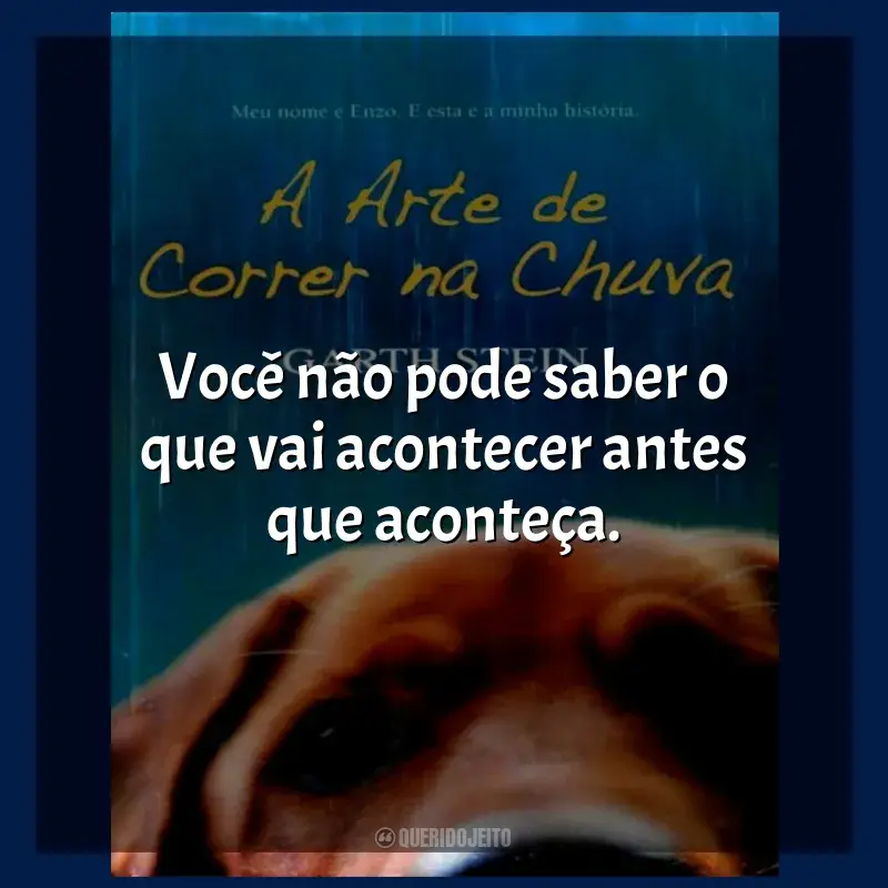 Frases de efeito do livro A Arte de Correr na Chuva: Você não pode saber o que vai acontecer antes que aconteça.