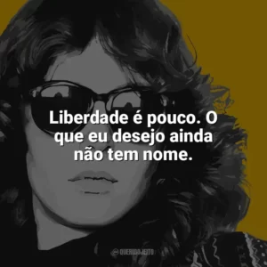 Liberdade é pouco. O que eu desejo ainda não tem nome. Ana Cristina Cesar