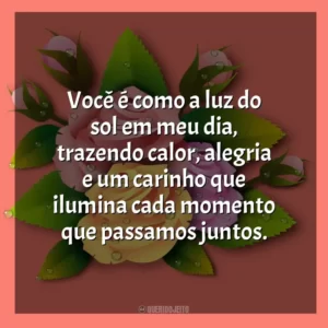 Você é como a luz do sol em meu dia, trazendo calor, alegria e um carinho que ilumina cada momento que passamos juntos.