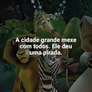 A cidade grande mexe com todos. Ele deu uma pirada. Madagascar (Filme)