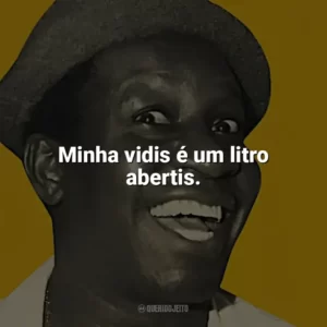 Minha vidis é um litro abertis. Mussum