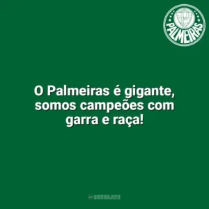 O Palmeiras é gigante, somos campeões com garra e raça! Palmeiras