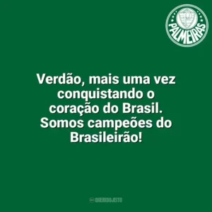 Verdão, mais uma vez conquistando o coração do Brasil. Somos campeões do Brasileirão! Palmeiras