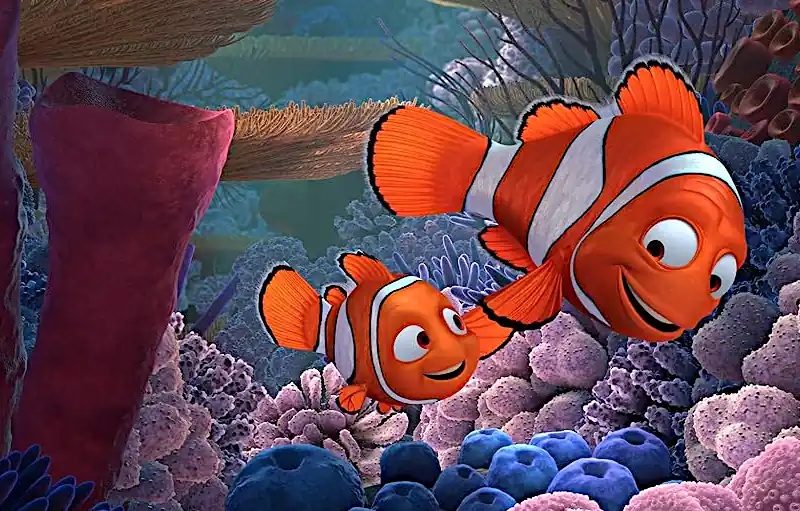 Frases do Filme Procurando Nemo