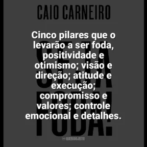 Cinco pilares que o levarão a ser foda, positividade e otimismo; visão e direção; atitude e execução; compromisso e valores; controle emocional e detalhes. Seja Foda! (Livro)